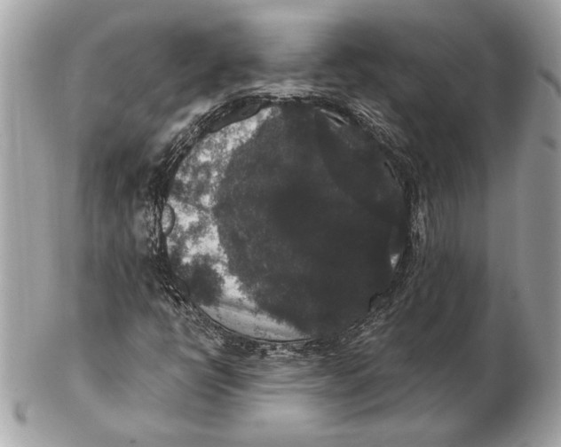 X0000102481398200808291617