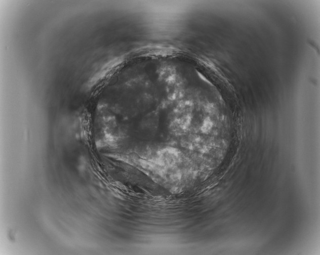 X0000102481399200808291617