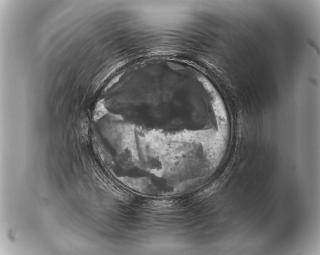 X0000102481401200808291617