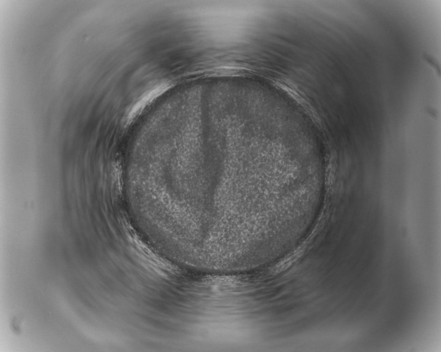 X0000102481402200808291617