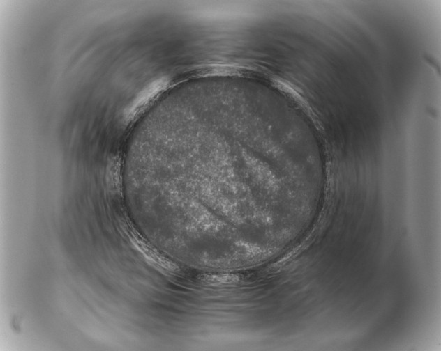 X0000102481403200808291617