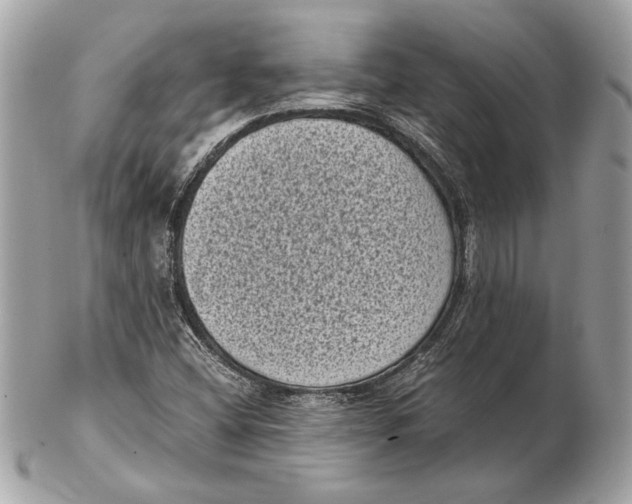 X0000102481404200808291617