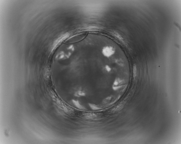 X0000102481405200808291617