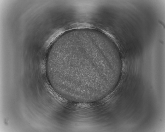 X0000102481407200808291617