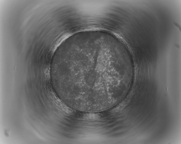 X0000102481409200808291617