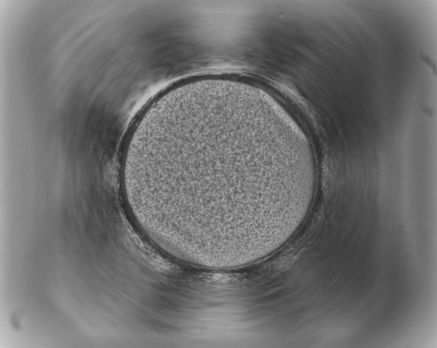 X0000102481412200808291617