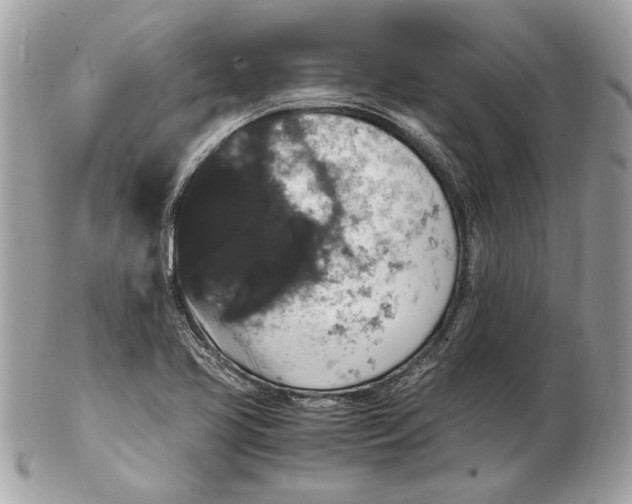 X0000102481413200808291617