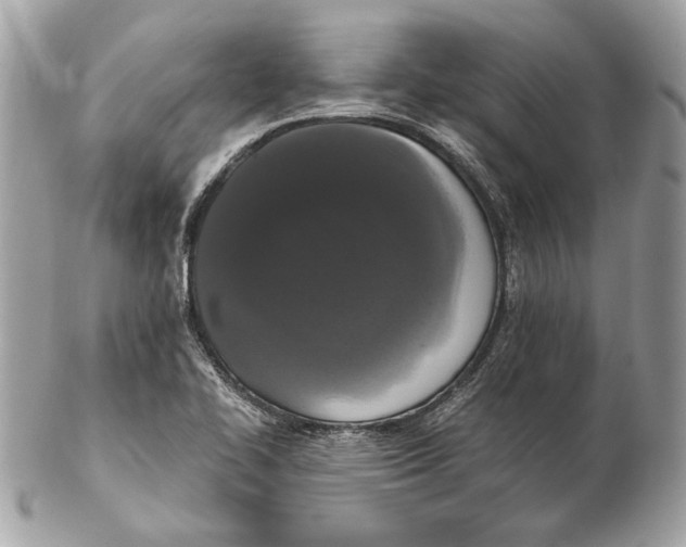 X0000102481414200808291617