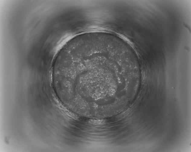 X0000102481415200808291617