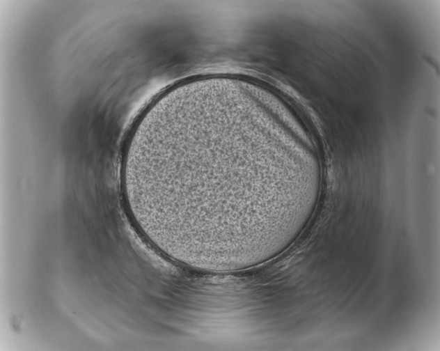 X0000102481416200808291617