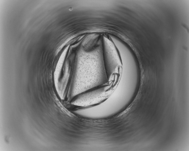 X0000102481417200808291617