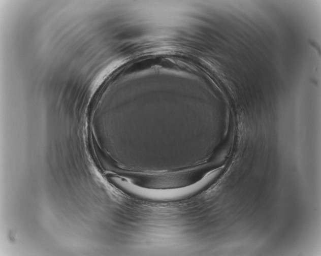 X0000102481418200808291617