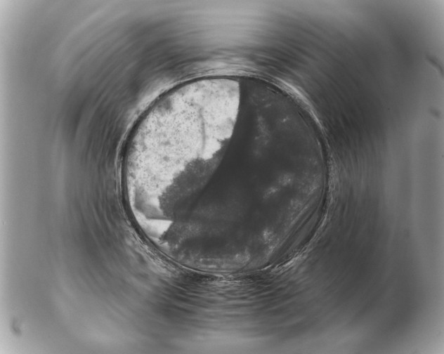 X0000102481419200808291617