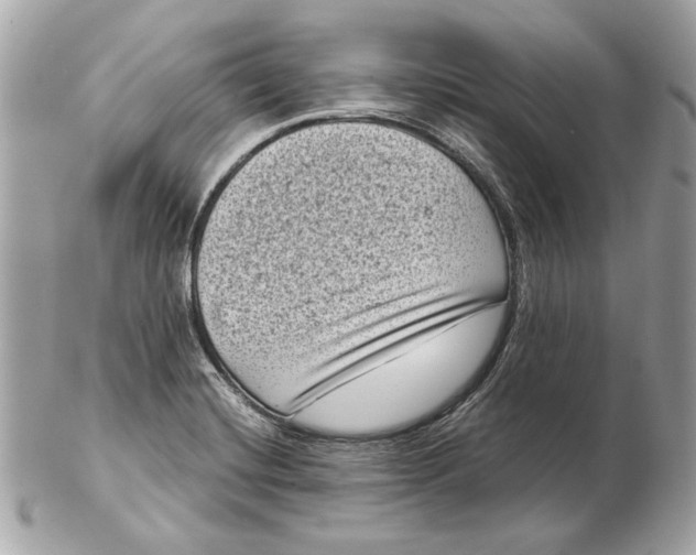 X0000102481420200808291617