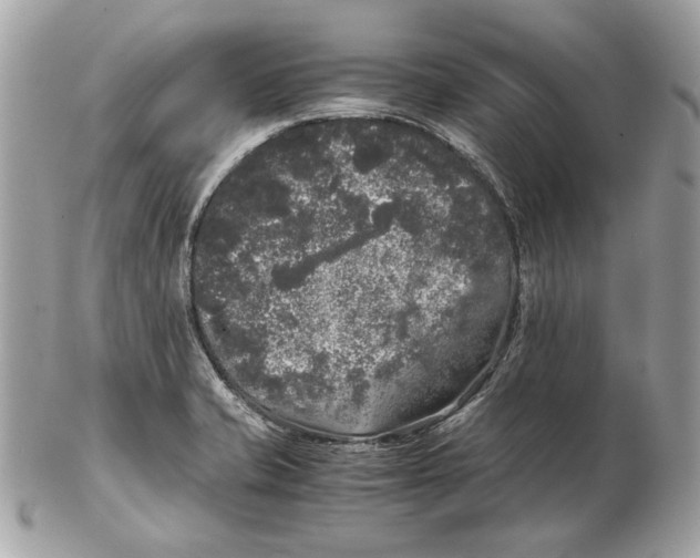 X0000102481421200808291617