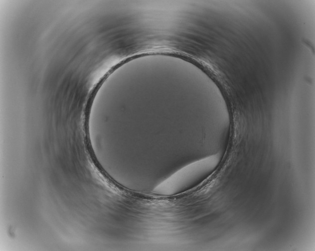 X0000102481422200808291617