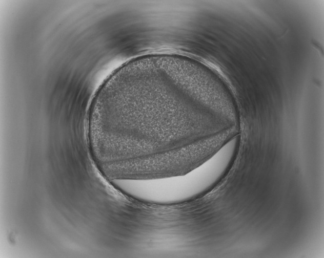 X0000102481424200808291617