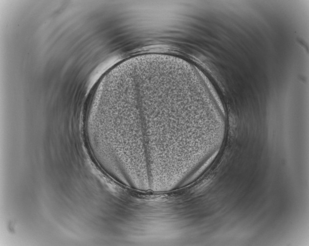 X0000102481426200808291617