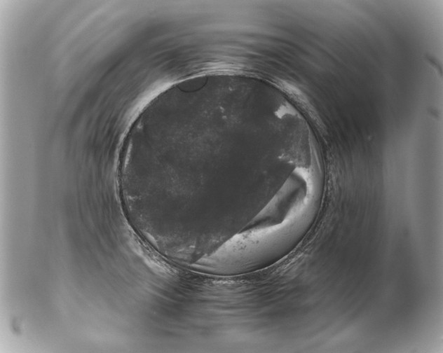 X0000102481427200808291617