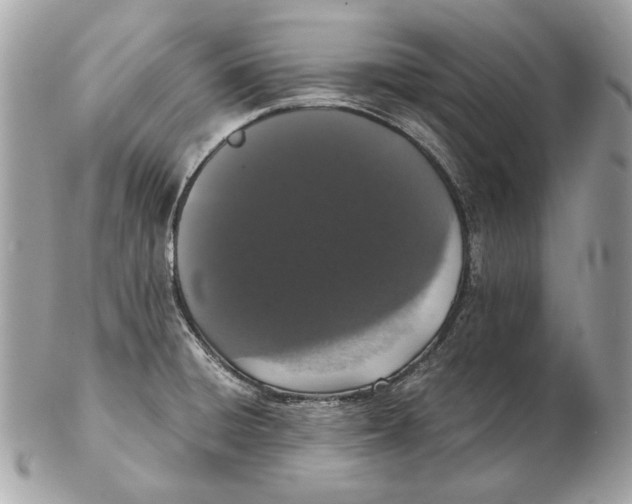 X0000102481428200808291617