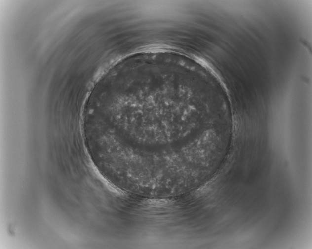 X0000102481429200808291617