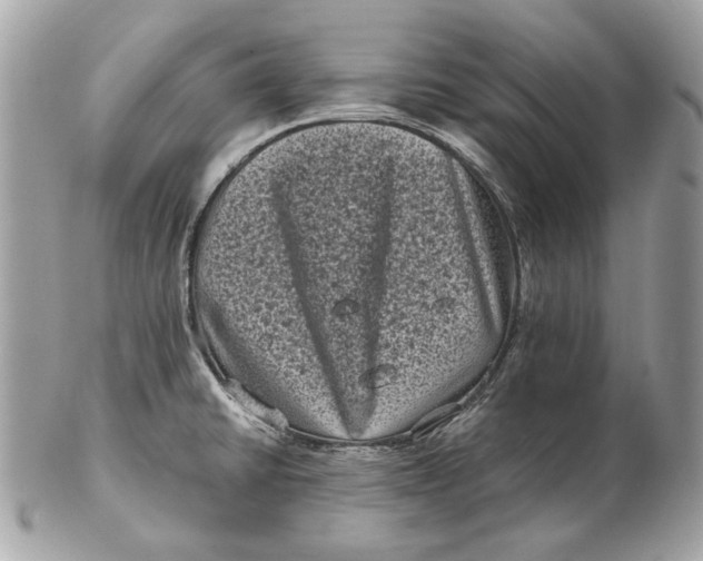 X0000102481430200808291617