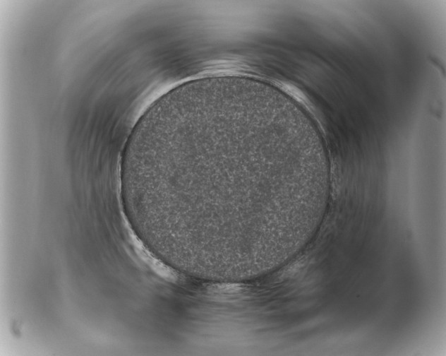 X0000102481431200808291617