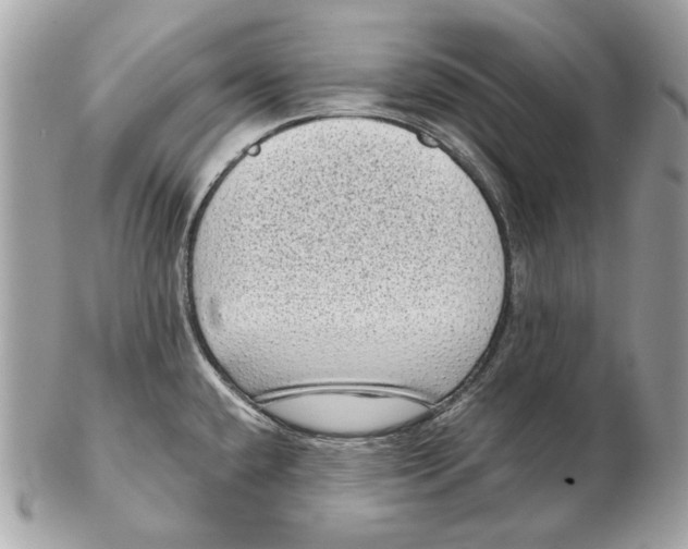 X0000102481432200808291617