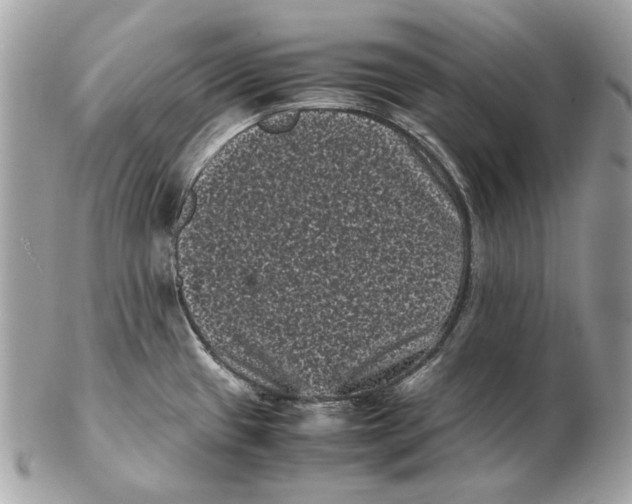 X0000102481433200808291617