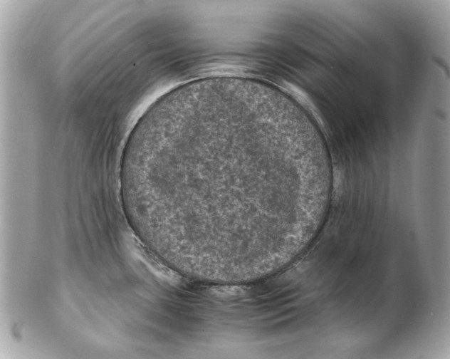 X0000102481435200808291617