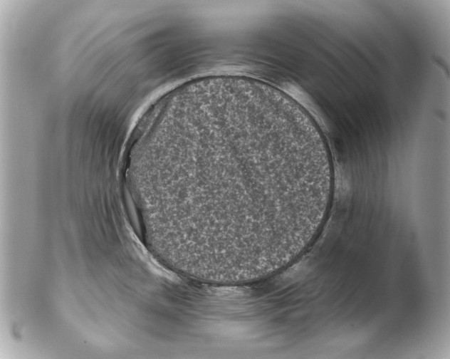 X0000102481436200808291617