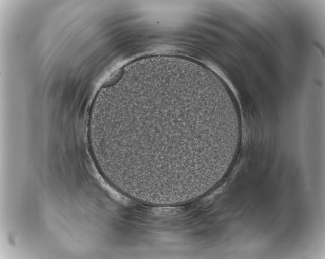 X0000102481437200808291617