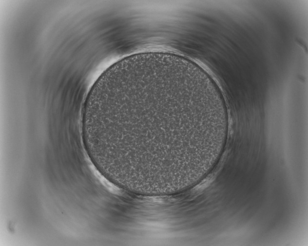 X0000102481438200808291617