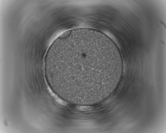 X0000102481439200808291617