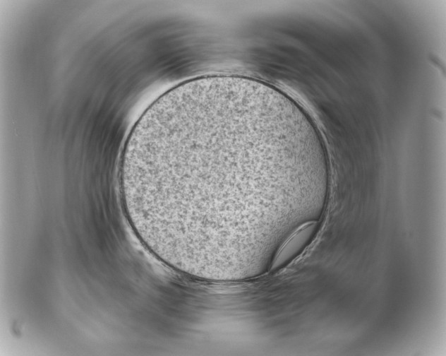 X0000102481440200808291617