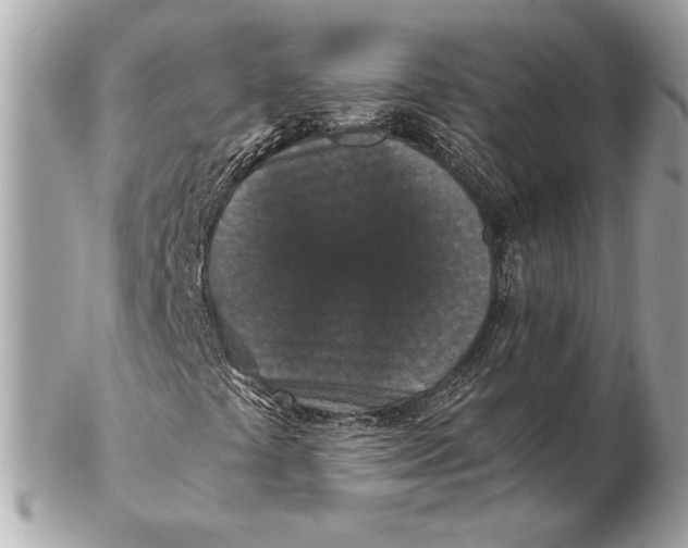 X0000102481441200808291617