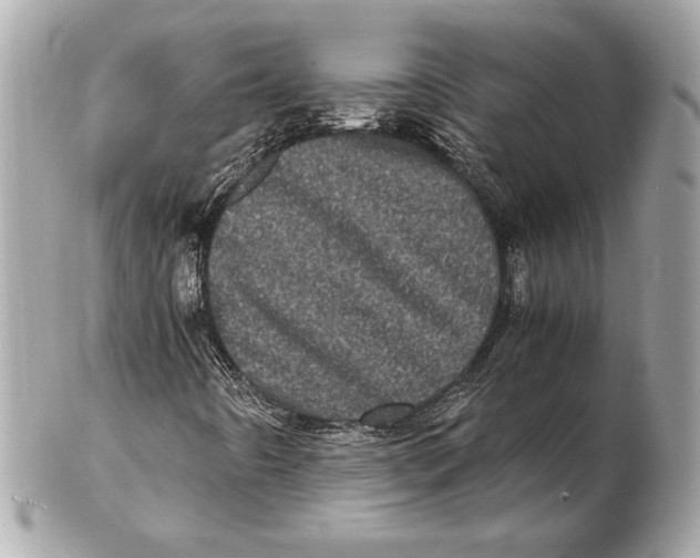 X0000102481442200808291617