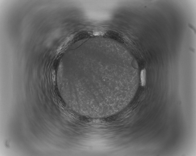 X0000102481443200808291617