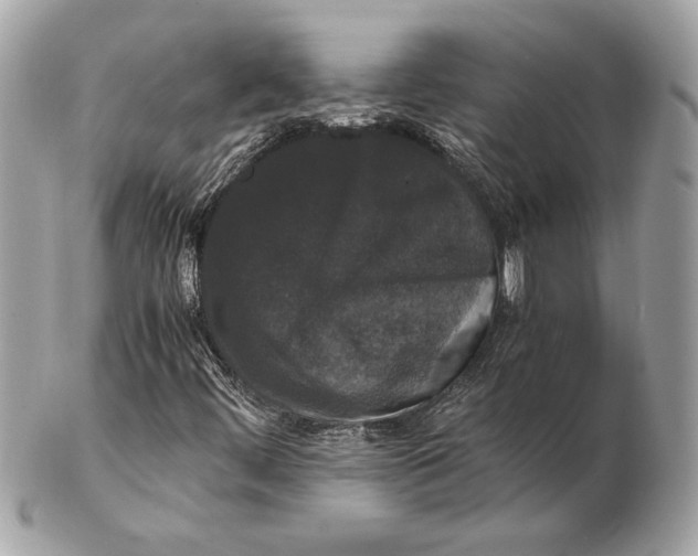 X0000102481444200808291617