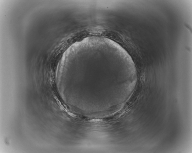 X0000102481445200808291617