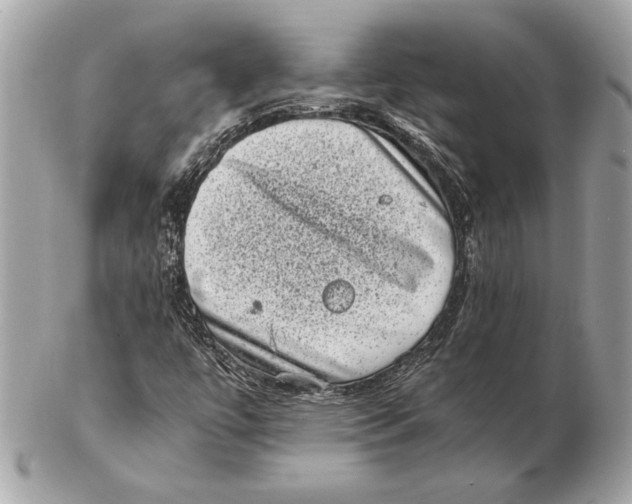 X0000102481447200808291617