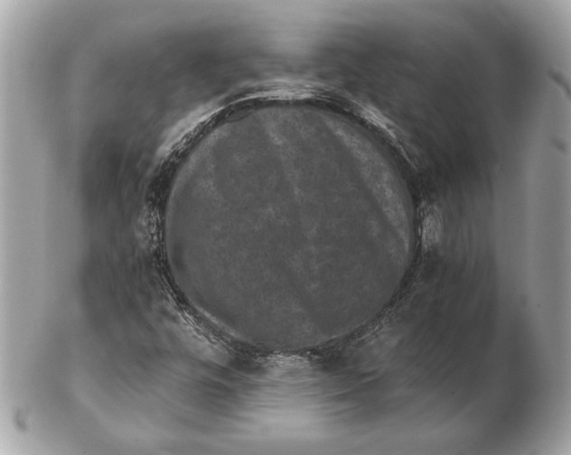 X0000102481448200808291617