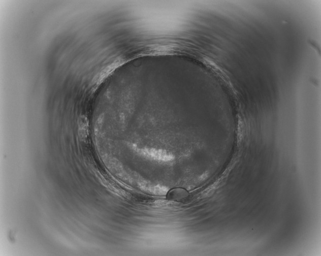 X0000102481449200808291617