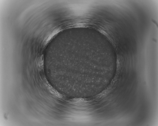 X0000102481450200808291617