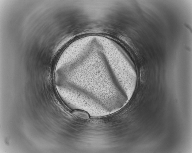 X0000102481452200808291617