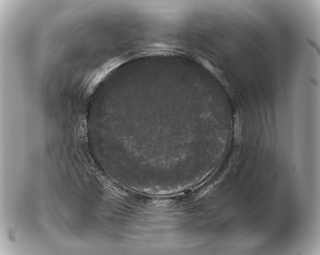 X0000102481453200808291616