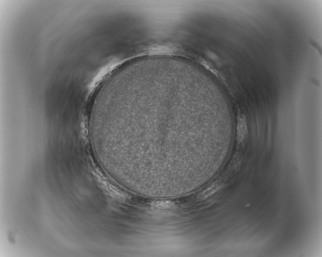 X0000102481454200808291616