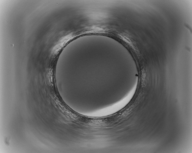 X0000102481455200808291616