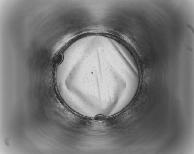 X0000102481456200808291616