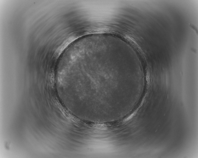 X0000102481457200808291616